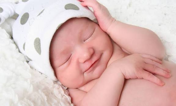 jual beli bayi