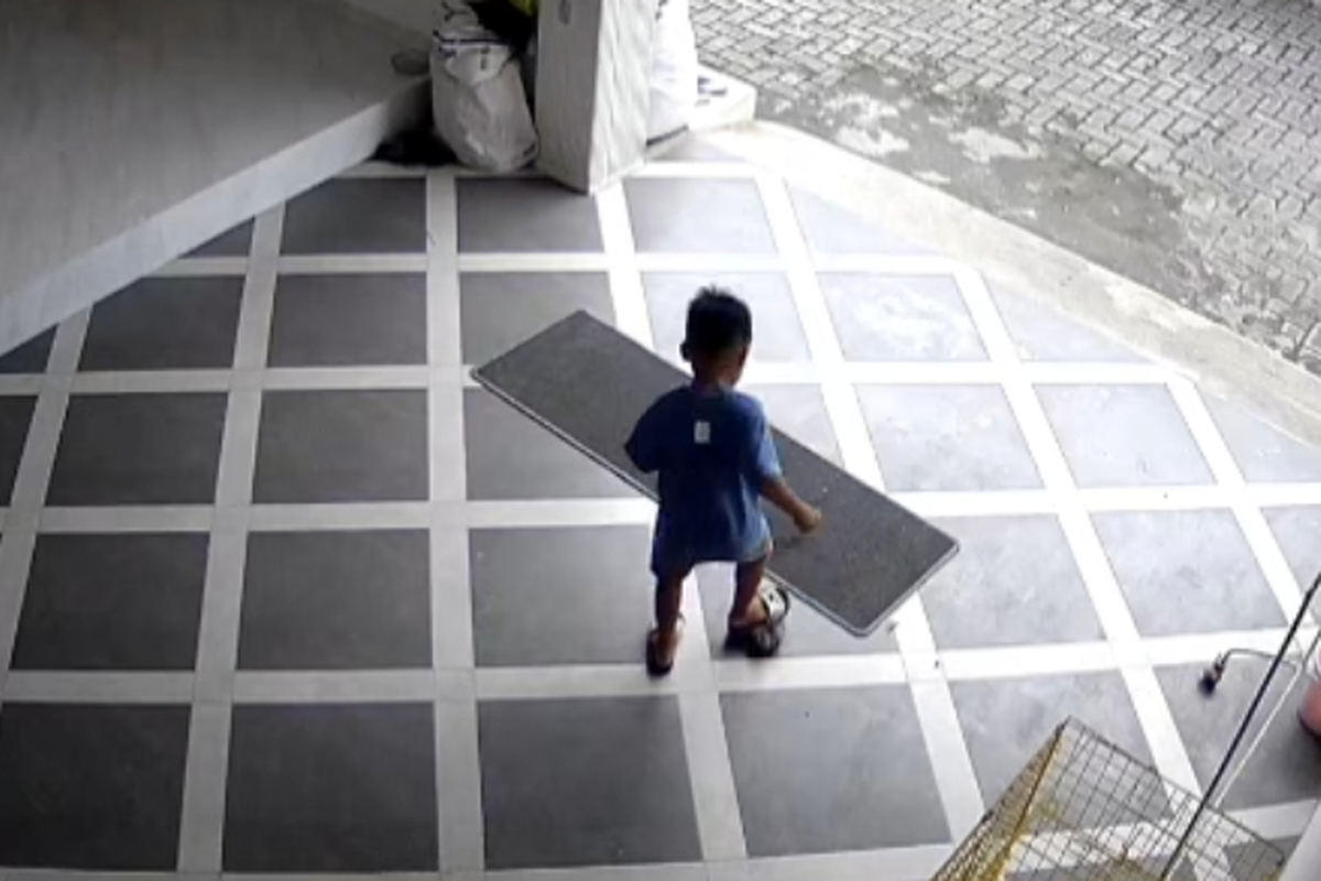 viral bocah Lumajang aniaya kucing