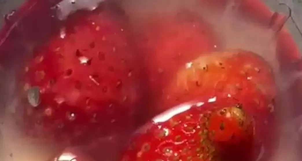 Puding Program Makan Bergizi Gratis di SD Malang Ditemukan Berulat: Kronologi dan Respons Pihak Terkait