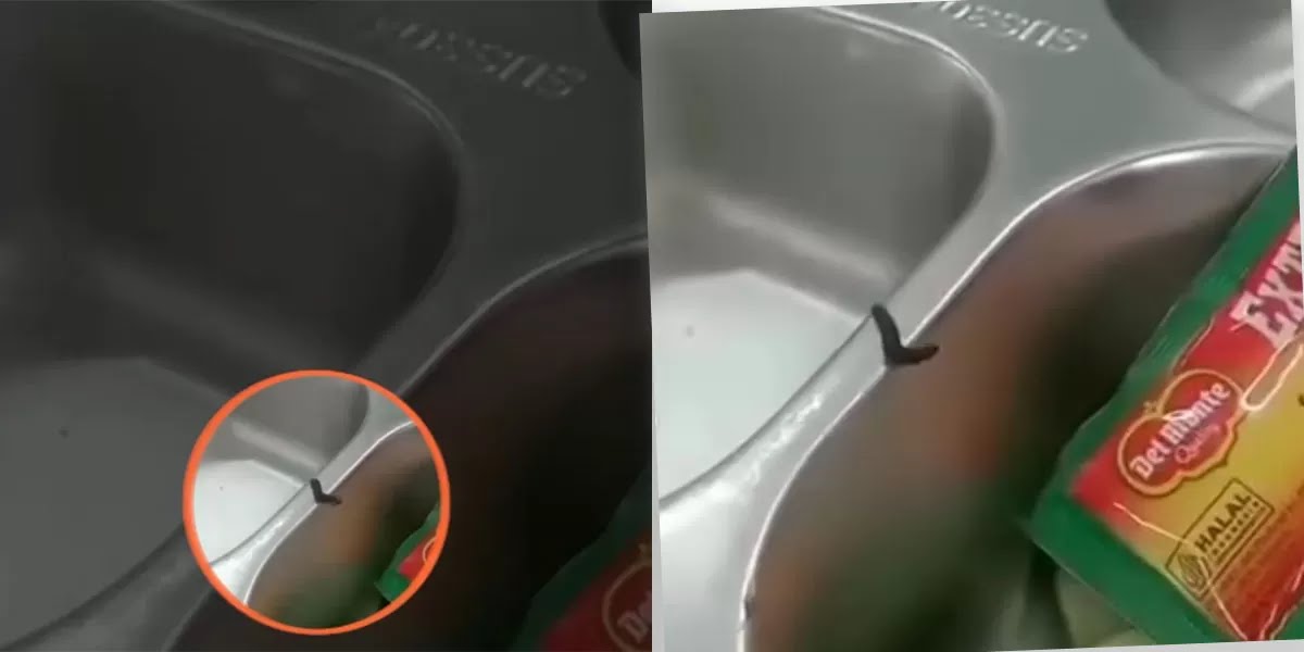 Video Ulat di MBG SMP Pasundan 9 Bandung Viral, Guru Gelar Sayembara