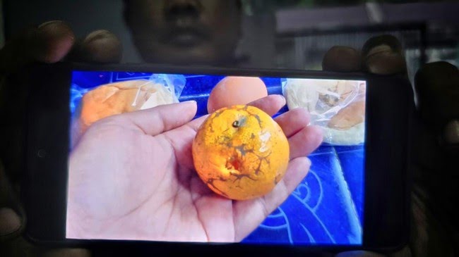 Belatung di Jeruk MBG Sukabumi Viral, SPPG Akui Kelalaian