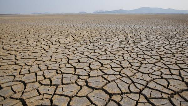 BRIN Prediksi Godzilla El Nino Datang April 2026, Waspada Kekeringan