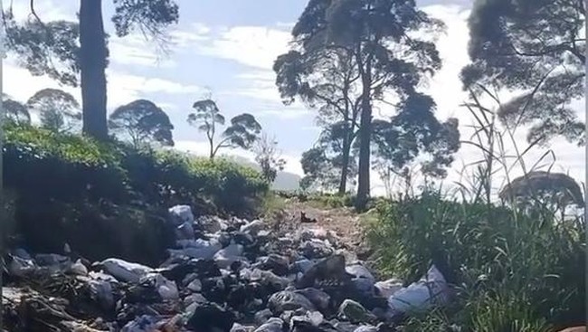Viral Sampah Merusak Kebun Teh Pangalengan, Camat Ungkap Oknum Pungli