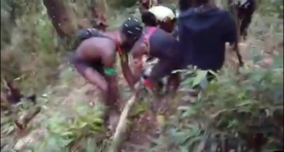 8 Warga Sipil Tewas di Distrik Kemburu, Papua Tengah