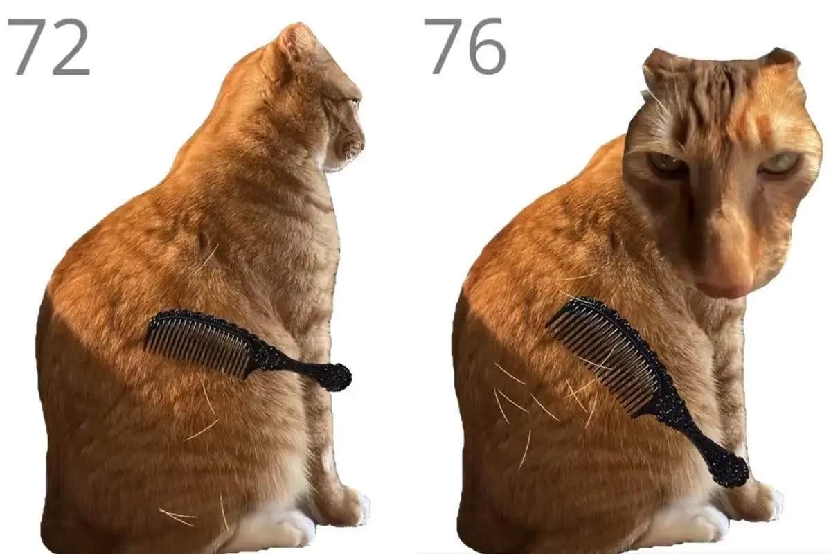 Brush Jjaemu Viral: Cara Main Game Sisir Kucing yang Bikin Deg-degan