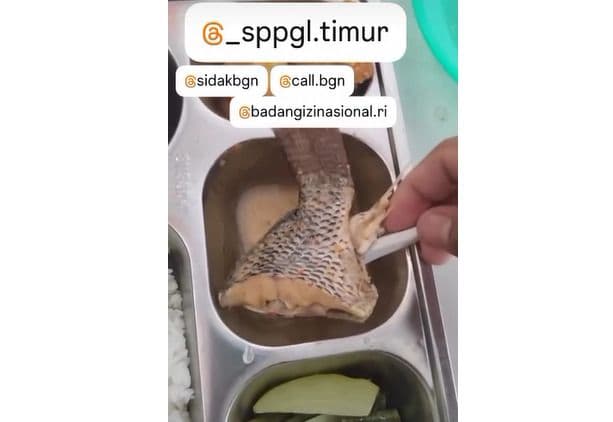 Video Siswa SD Tolak Makan Ikan MBG di Asahan Viral, SPPG Minta Maaf
