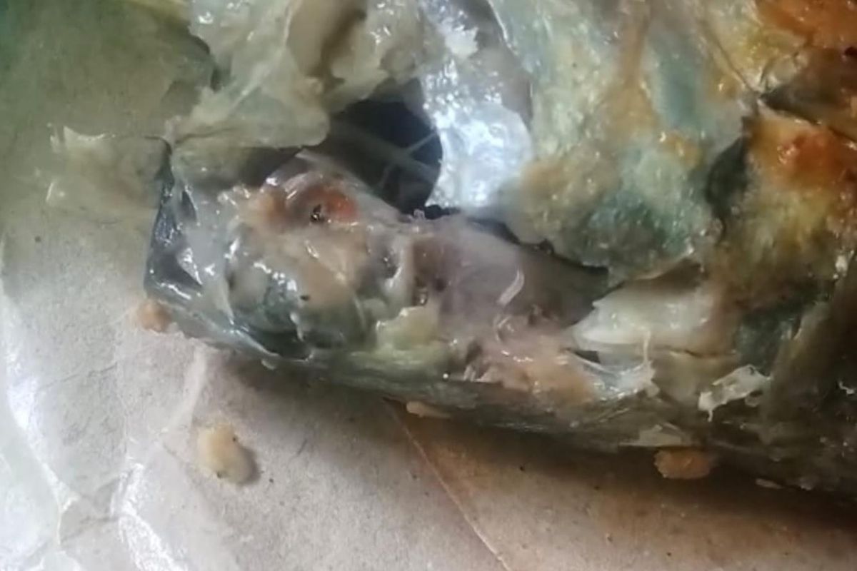 Menu MBG Ikan Pindang Berulat Viral di Pamekasan, SPPG Minta Maaf