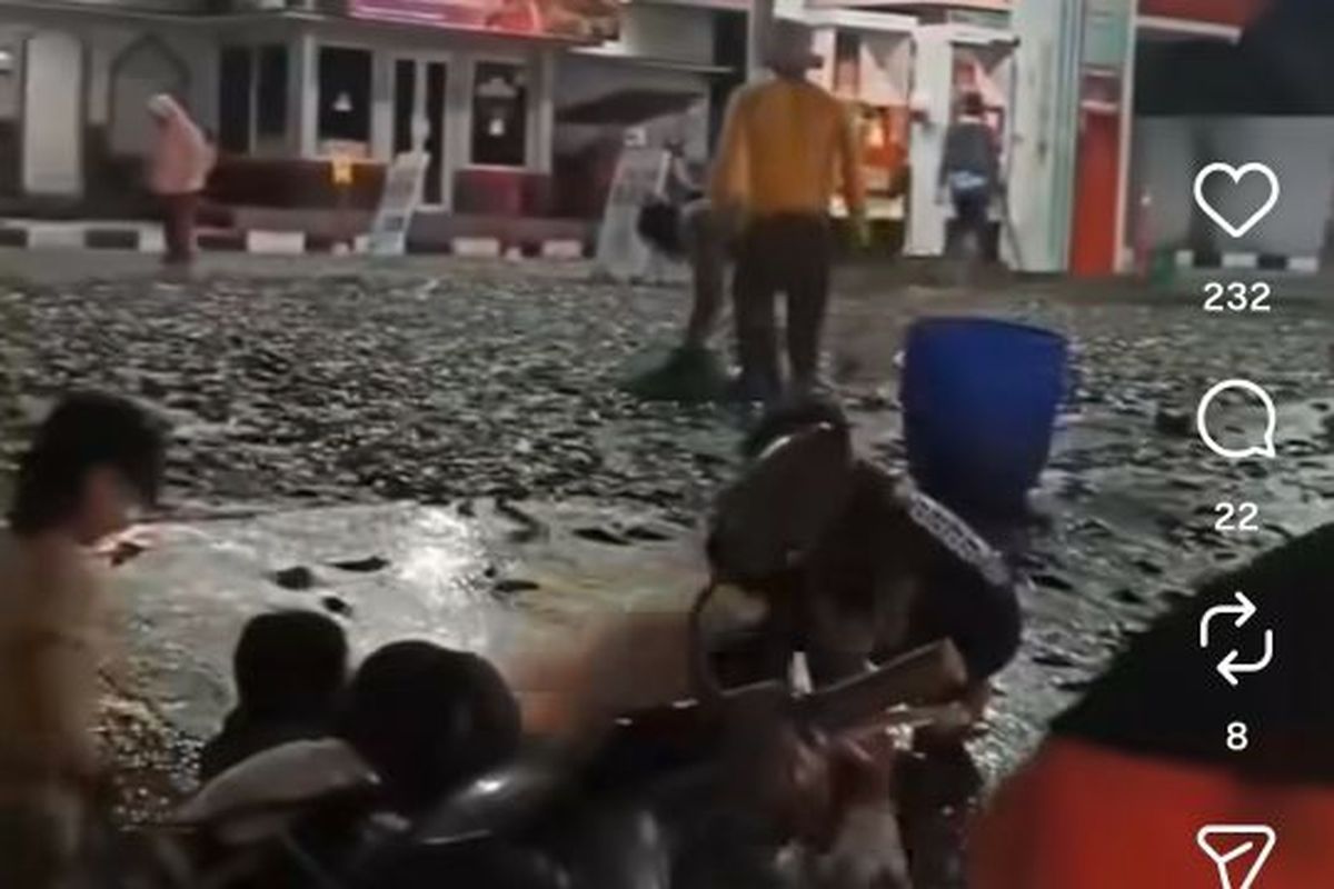 Ribuan Lele Tumpah di SPBU Klaten, Warga Gotong Royong Bantu Kumpulkan