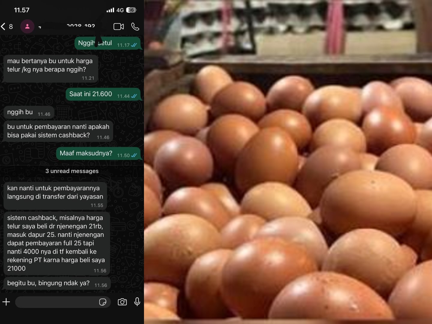 Pakan Mahal, Telur Dinego Cashback? Peternak Sukoharjo Curhat Dugaan Markup MBG