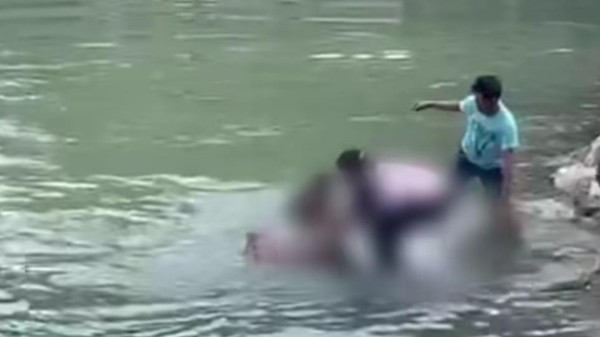 Bocah Diterkam Buaya di Mamuju Tengah Ditemukan Tewas