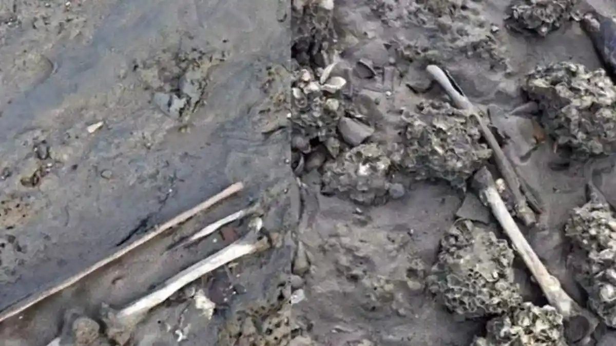 Viral Tulang Belulang Berserakan di Aceh saat Air Laut Surut, Pemancing Temukan Lima Makam Tua