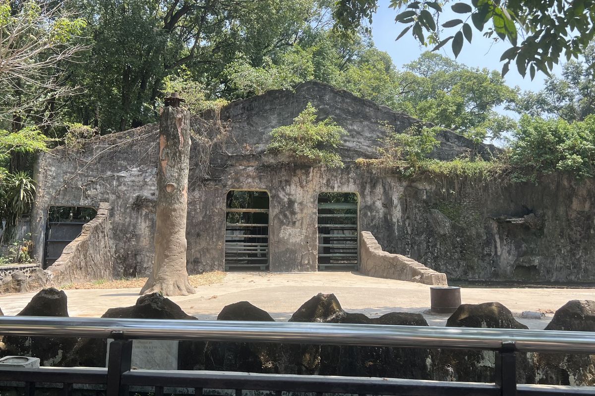 Pengunjung Minta Koleksi Hewan Ragunan Ditambah, Tarif Rp10.000 Percuma Jika Kandang Kosong