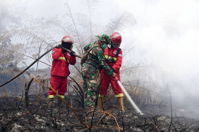 Kabut Asap Lintas Batas: Mengapa Karhutla Indonesia Bisa Membuat Sekolah di Malaysia Tutup?