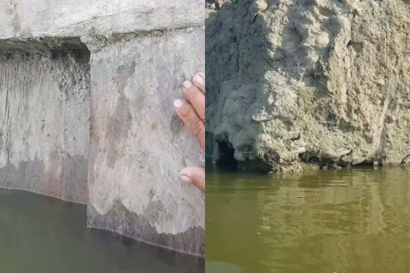 Heboh Penemuan Kayu Jati Raksasa Tertanam di Batu Kuno Saat Pengerukan Sungai Wulan Demak