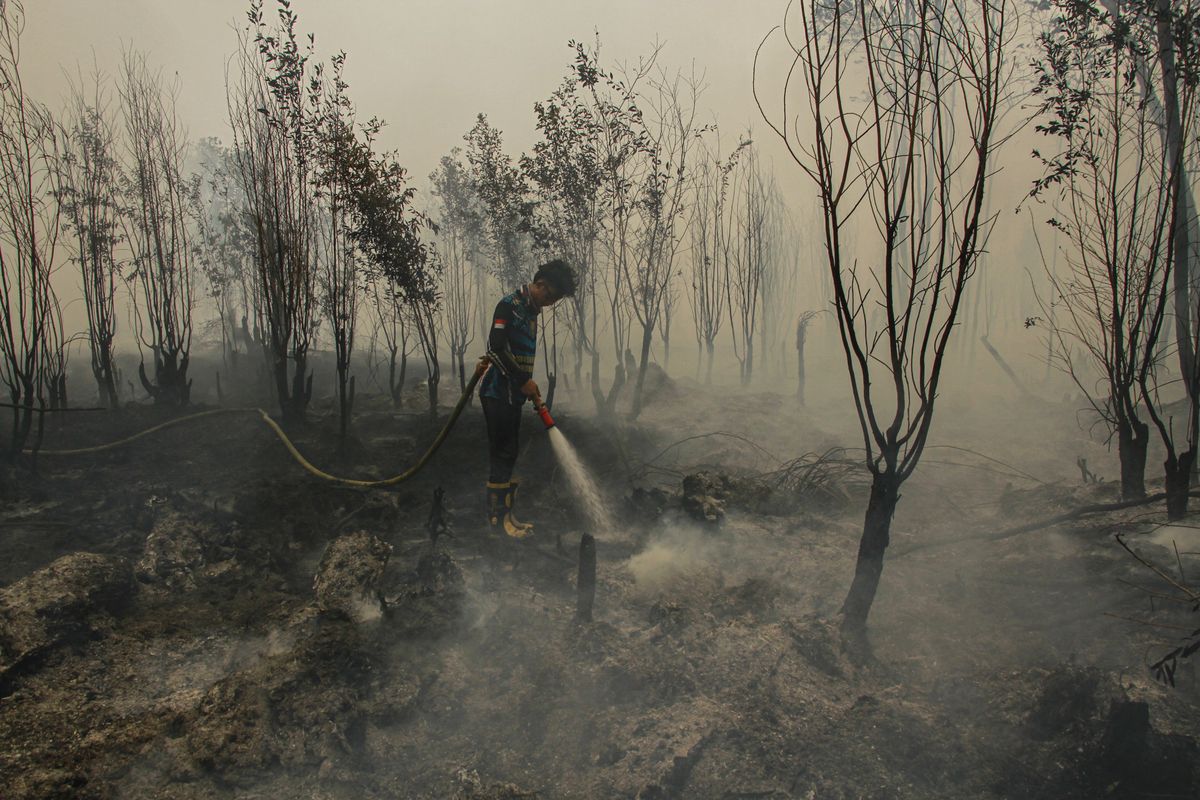 Brasil Kirim Cairan Pemadam Karhutla ke Indonesia, Diuji Coba di Sumatera dan Kalimantan