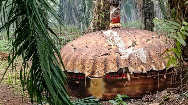 Benda Logam Mirip Kubah Kembali Ditemukan di Kebun Sawit Kotawaringin Timur